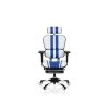 Hjh OFFICE Chaise De Gaming Haut De Gamme ERGOHUMAN ELITE PRO Blanc/Bleu Hjh OFFI...