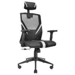 Mars Gaming Fauteuil Ergonomique MGC Ergo (Noir/Blanc)