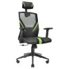 Mars Gaming Fauteuil Ergonomique MGC Ergo (Noir/Vert)