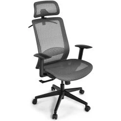 GIANTEX Chaise De Bureau Pivotant En Maille Avec Renfort Lombaire Appu...